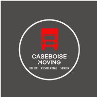 Caseboise Moving image 2